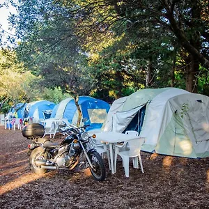  Campsite Camping